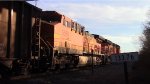 BNSF coal train